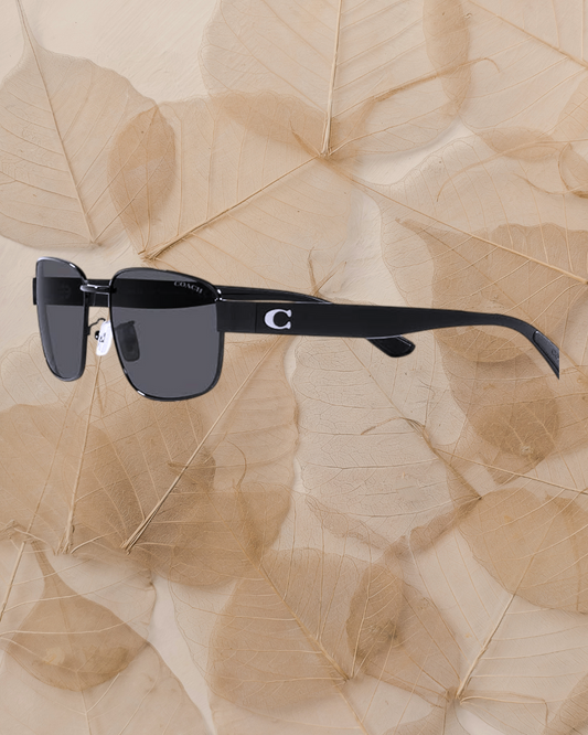 Lentes de Sol Coach HC7149